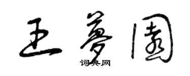 曾庆福王梦园草书个性签名怎么写