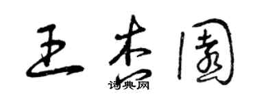 曾庆福王杏园草书个性签名怎么写
