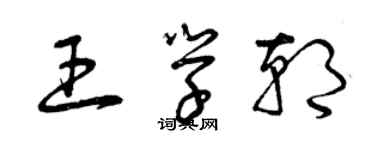 曾庆福王学朝草书个性签名怎么写
