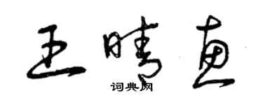 曾庆福王晴惠草书个性签名怎么写