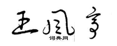 曾庆福王风亭草书个性签名怎么写