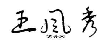 曾庆福王风秀草书个性签名怎么写