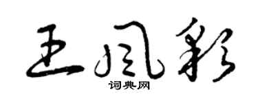 曾庆福王风彩草书个性签名怎么写