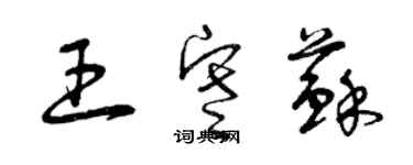 曾庆福王寒苏草书个性签名怎么写