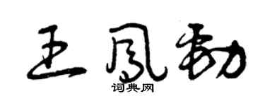 曾庆福王凤劲草书个性签名怎么写