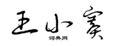曾庆福王小赛草书个性签名怎么写