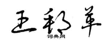 曾庆福王邦革草书个性签名怎么写