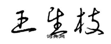 曾庆福王望枝草书个性签名怎么写