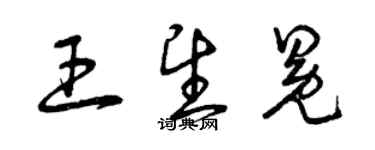 曾庆福王望冕草书个性签名怎么写