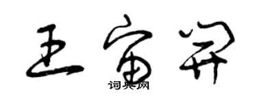 曾庆福王宙开草书个性签名怎么写