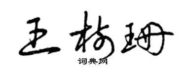曾庆福王树珊草书个性签名怎么写