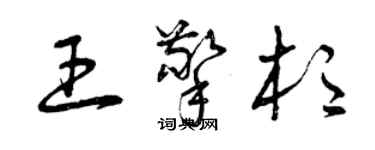 曾庆福王擎杉草书个性签名怎么写