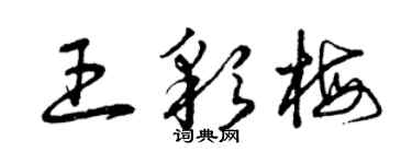 曾庆福王彩梅草书个性签名怎么写