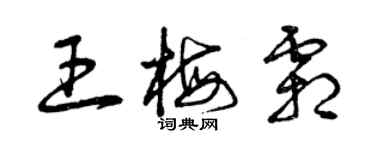 曾庆福王梅霜草书个性签名怎么写