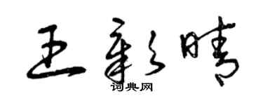 曾庆福王彰晴草书个性签名怎么写