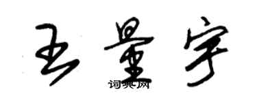朱锡荣王量宇草书个性签名怎么写