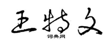 曾庆福王特文草书个性签名怎么写