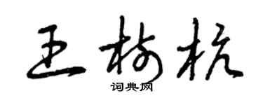 曾庆福王树杭草书个性签名怎么写