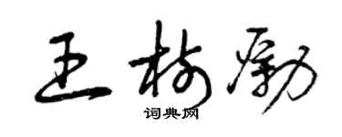 曾庆福王树励草书个性签名怎么写