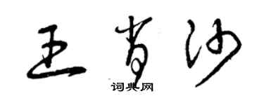 曾庆福王肖沙草书个性签名怎么写