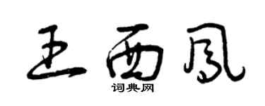 曾庆福王西凤草书个性签名怎么写