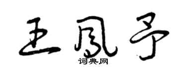 曾庆福王凤予草书个性签名怎么写