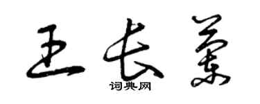 曾庆福王长兰草书个性签名怎么写