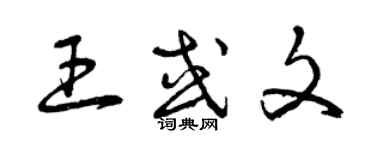 曾庆福王或文草书个性签名怎么写