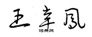 曾庆福王辛凤草书个性签名怎么写