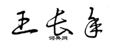曾庆福王长年草书个性签名怎么写