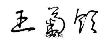 曾庆福王菊领草书个性签名怎么写