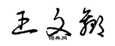 曾庆福王文赢草书个性签名怎么写