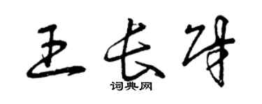 曾庆福王长财草书个性签名怎么写