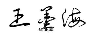 曾庆福王墨海草书个性签名怎么写