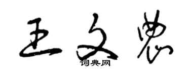 曾庆福王文农草书个性签名怎么写