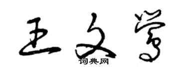 曾庆福王文莺草书个性签名怎么写