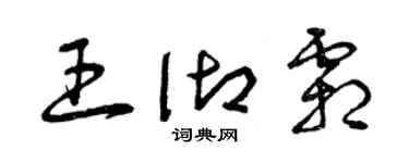 曾庆福王御霜草书个性签名怎么写