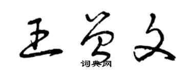 曾庆福王曾文草书个性签名怎么写