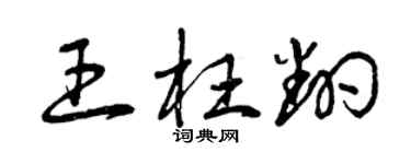 曾庆福王枉翻草书个性签名怎么写