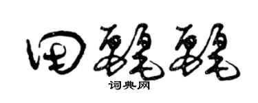曾庆福田丽丽草书个性签名怎么写