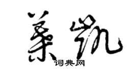 曾庆福叶凯草书个性签名怎么写