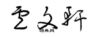 曾庆福卢文轩草书个性签名怎么写