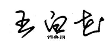 朱锡荣王白花草书个性签名怎么写