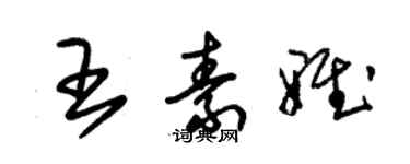 朱锡荣王素雅草书个性签名怎么写