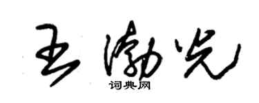 朱锡荣王渤光草书个性签名怎么写