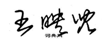 朱锡荣王映儿草书个性签名怎么写