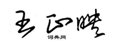 朱锡荣王正映草书个性签名怎么写