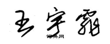 朱锡荣王宇霏草书个性签名怎么写
