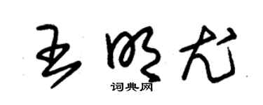 朱锡荣王明尤草书个性签名怎么写