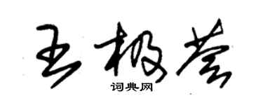 朱锡荣王极荟草书个性签名怎么写